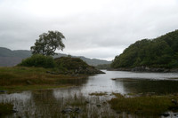 Loch Sunart